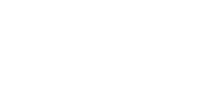 NAFS Logo (white)